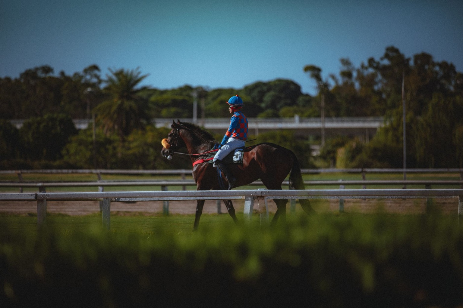 Jockeys famosos: claves para tus apuestas — Los errores comunes al apostar por jockeys y cómo evitarlos Jockeys famosos: claves para tus apuestas — Los errores comunes al apostar por jockeys y cómo evitarlos