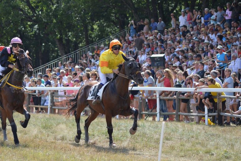 Carreras de caballos Lasarte: pronósticos