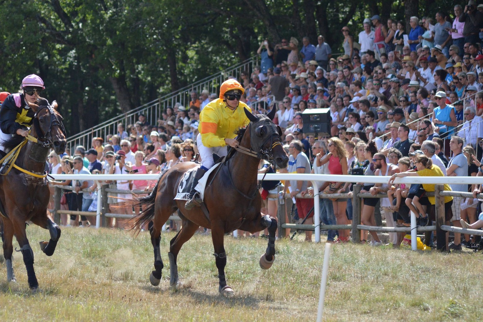 Carreras de caballos Lasarte: pronósticos