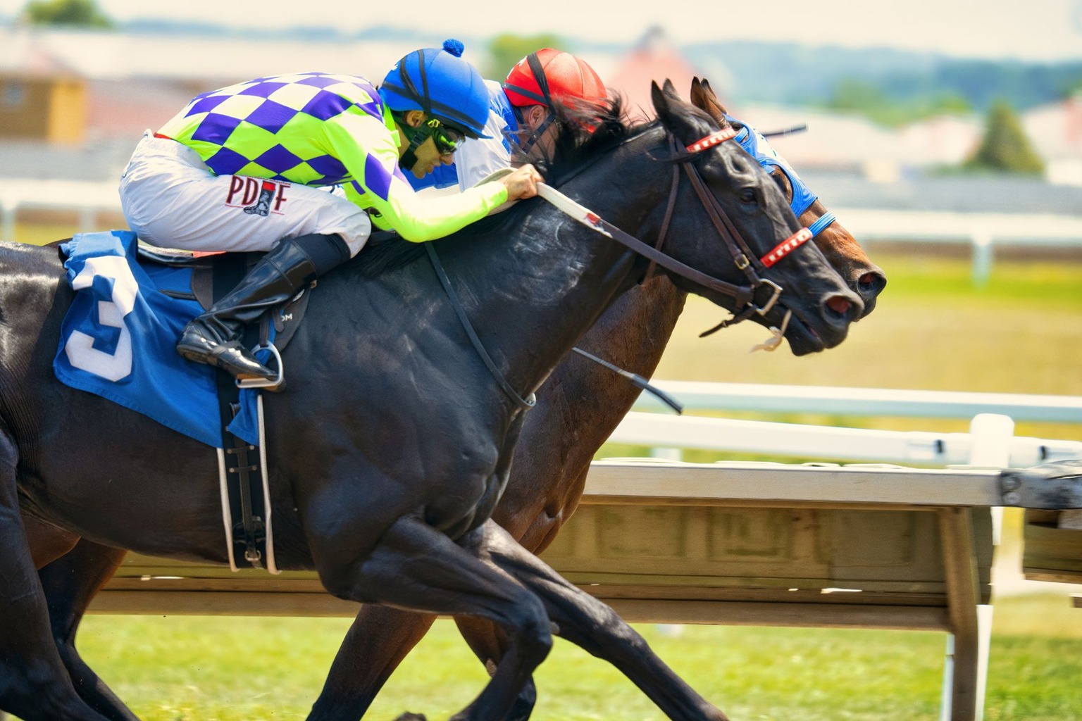 Carreras de caballos Lasarte: pronósticos — El papel de la pista y las condiciones climáticas en los pronósticos Carreras de caballos Lasarte: pronósticos — El papel de la pista y las condiciones climáticas en los pronósticos
