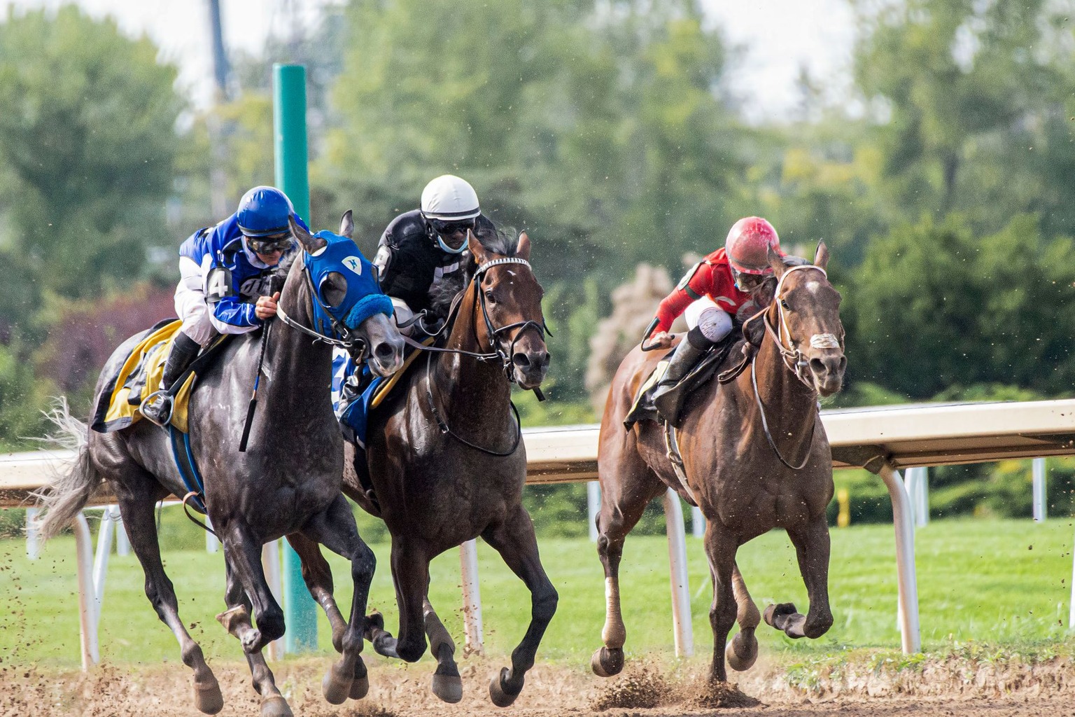 Carreras de caballos Lasarte: pronósticos — Errores comunes al apostar en carreras de caballos Lasarte Carreras de caballos Lasarte: pronósticos — Errores comunes al apostar en carreras de caballos Lasarte