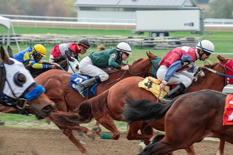 ¿Qué es turf en apuestas de caballos hoy?