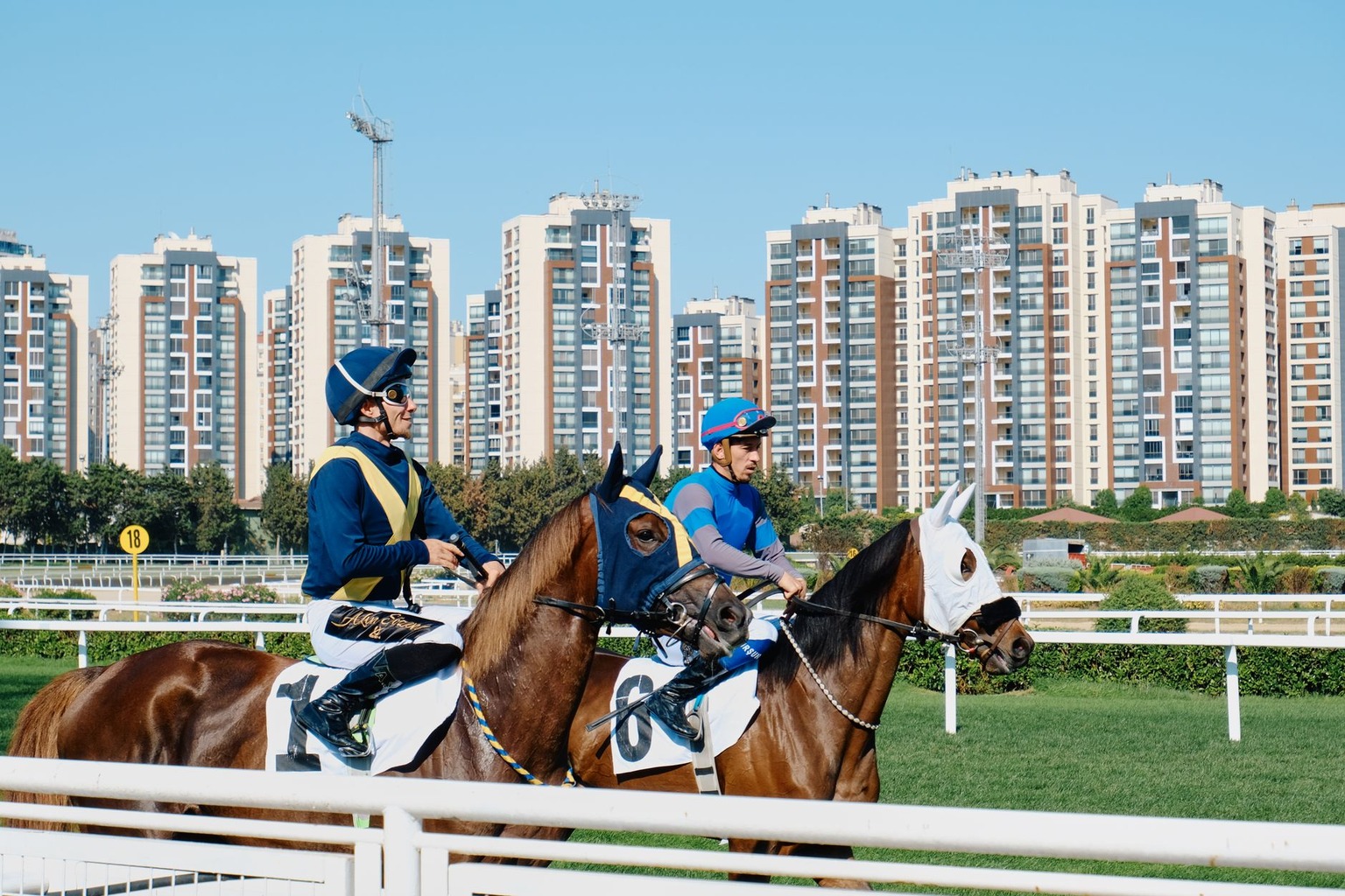 Carreras de caballos Sanlúcar: apuestas