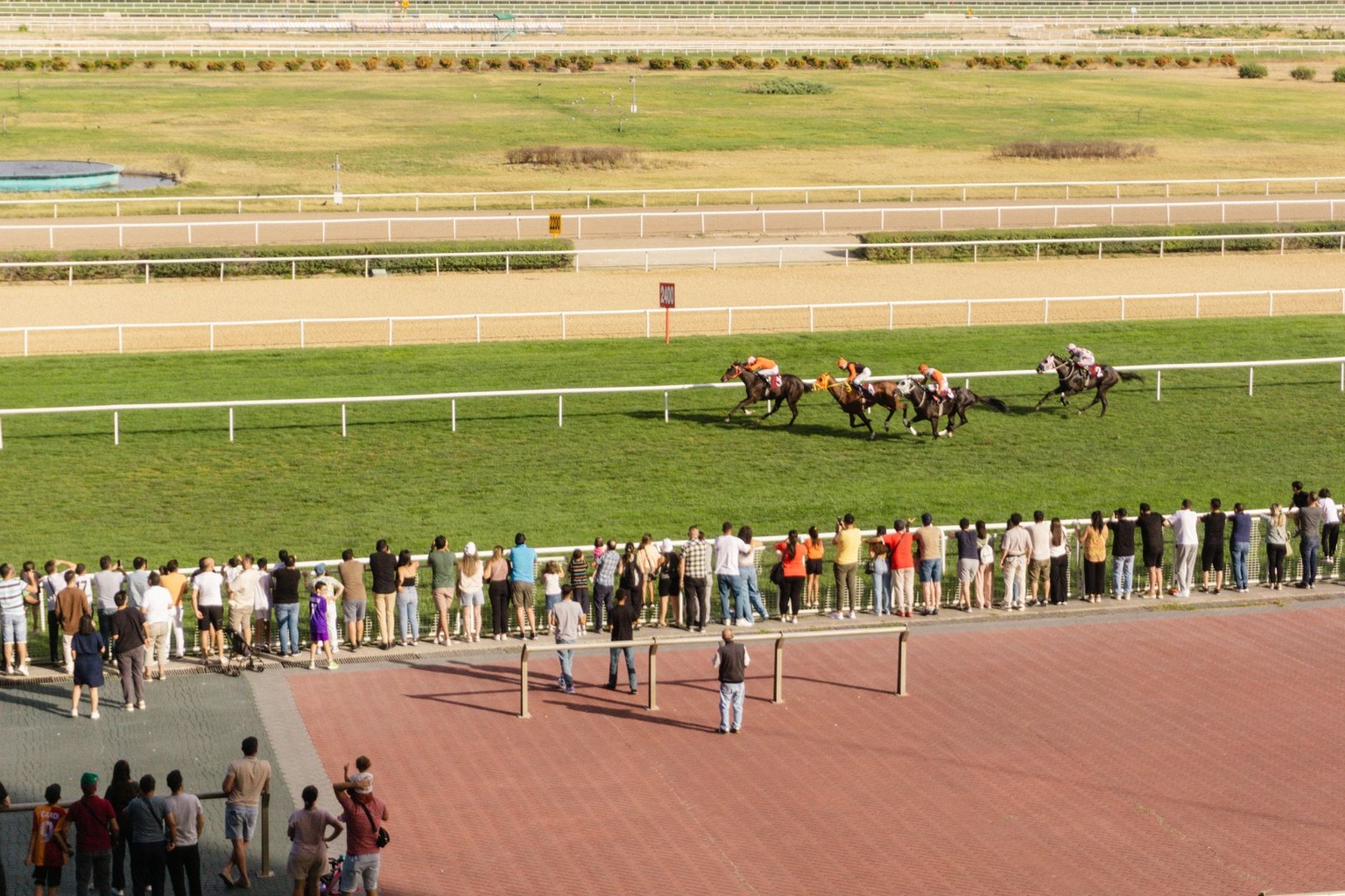 Carreras de caballos Sanlúcar: apuestas — Tipos de apuestas más comunes en las carreras de caballos Sanlúcar Carreras de caballos Sanlúcar: apuestas — Tipos de apuestas más comunes en las carreras de caballos Sanlúcar