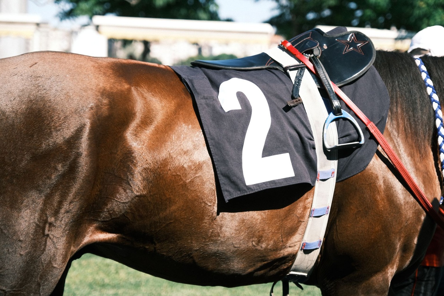 Tips para apostar en carreras de caballos: señales que aumentan tus ganancias — Evaluación del rendimiento del jockey y 
